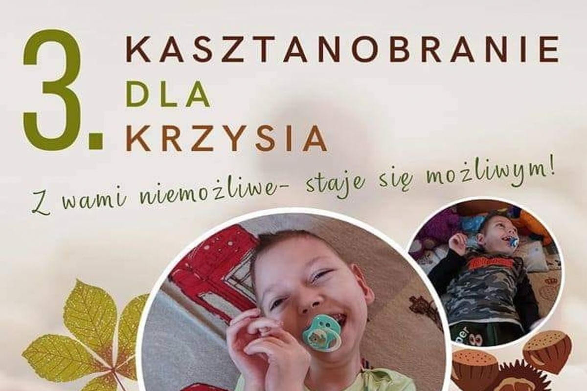 Do Cz Do Akcji Kasztanobranie Dla Krzysia Askonline Pl